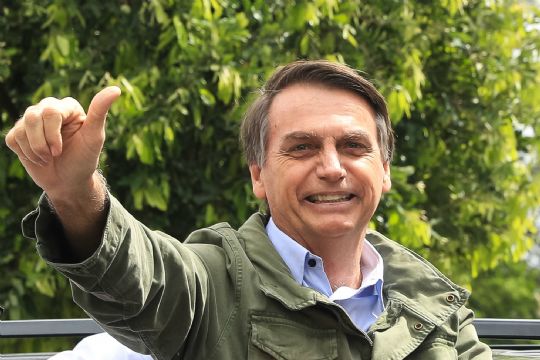 Bolsonaro pode ser uma espcie de macaco sujo de leo que tira o carro do buraco   